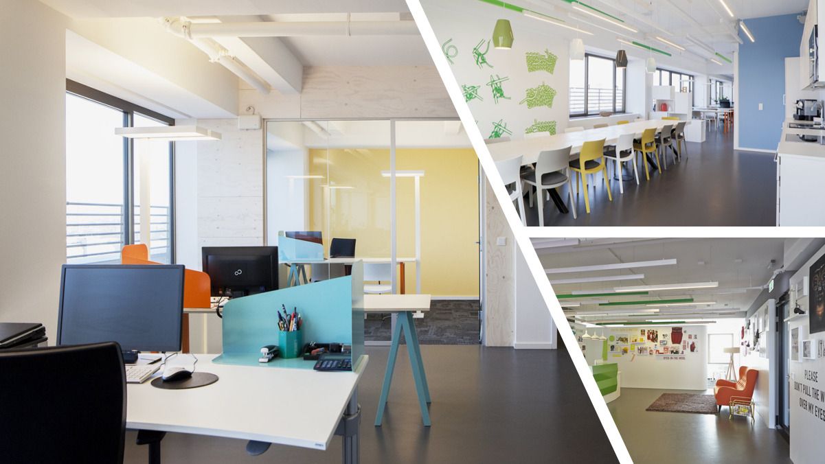 أرضيات اللينوليوم الطبيعية — صورة 4